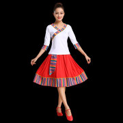 藏族舞蹈演出服装女成人，广场舞服装，套装民族风短裙子分体两件