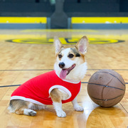 柯基篮球衣狗狗衣服薄款夏季小型中型犬队服夏天透气宠物网眼背心