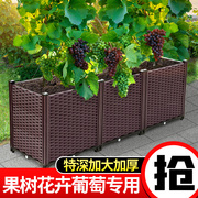 葡萄种植箱阳台，种菜专用花箱户外加深长方形花盆，种树楼顶花槽塑料