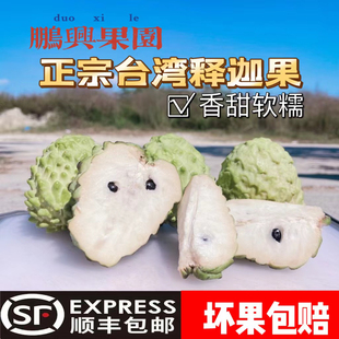 速运正宗台湾释迦果番荔枝，超大a+级果摩尼果新鲜当季水果
