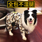 大狗狗雨衣金毛柴犬萨摩耶，边牧柯基中型大型犬，宠物全包防水的衣服