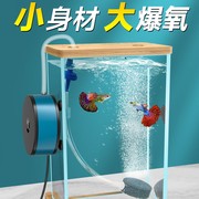 氧气泵迷你小型鱼缸家用水族箱，增氧养鱼低音打氧制氧机器供冲充超