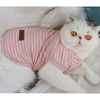 马卡龙(马卡龙)4色弹力，猫咪无袖背心，可爱宠物狗衣服夏季薄款防掉毛英短