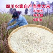 四川当季大米5斤长粒2023新米香米农家自种大米10斤不打蜡不抛光