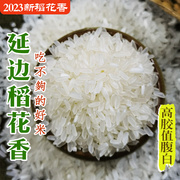 东北延边稻花香大米农家自产长粒现磨梗米新米正宗粳米10斤