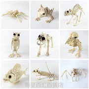 万圣节恐怖装饰品蝎子蝙蝠老鼠蜘蛛骷髅骨摆件塑料动物骷髅骨架