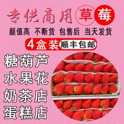 新鲜草莓28粒小果蛋糕烘焙专用双流冬草莓装饰水果