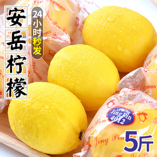 四川安岳黄柠檬(黄柠檬，)新鲜5斤当季水果，皮薄一级香水鲜甜柠檬青6
