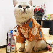 猫咪衣服夏季清凉沙滩衬衫风布偶，蓝白金渐层薄款狗狗夏天防晒衬衫