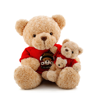 毛衣泰迪熊毛绒玩具小熊抱抱熊，大熊公仔熊熊玩偶婚庆布娃娃