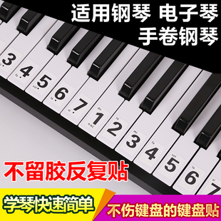 886154键通用钢琴，键盘贴纸电子琴，手卷钢琴琴贴五线谱简谱键位贴