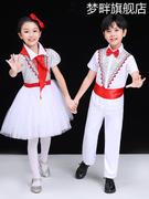 六一儿童蓬蓬纱裙演出服，亮片女童公主，现代舞蹈幼儿园表演合唱服装
