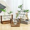 创意木架桌面水培玻璃花瓶养绿萝植物花盆容器摆件办公室客厅装饰