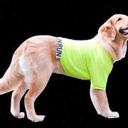 大狗狗衣服夏季薄款金毛拉布拉多潮流凉感夏天透气中型大型犬夏装