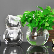 水培植物透明玻璃花瓶简约水养，绿萝盆栽花盆，圆球形小鱼缸器皿容器