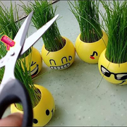 浇水长草的植物娃娃小花农盆栽，植物学生diy迷你可爱长草娃娃草头