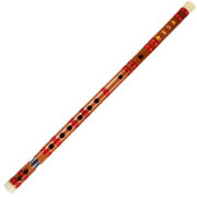笛子 初学 儿童中小学生自学初学入门练习紫竹笛子乐器送全套配件
