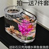 金鱼缸(金鱼缸)小鱼鱼缸，玻璃长方形观赏加厚桌面，方缸小型水培植物养透明