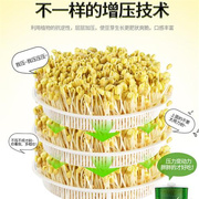 豆芽机家用全自动智能，多功能双层大容量，生芽发芽机黄豆绿豆机罐盆