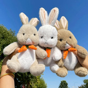 毛料萝卜兔公仔彼得兔，毛绒玩具玩偶节日，赠送抓机娃娃