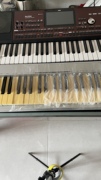 定制电子琴琴键发黄变白复新(白复新)除黄剂乐器，复新专用老琴变新琴编曲键