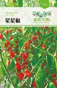 星星椒种子  特色小辣椒种子  庭院观赏椒种子