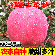 新鲜红富士丑苹果水果当季整箱5斤一级脆甜冰，糖心10平安萍果