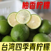 台湾四季青柠檬 新鲜皮薄奶茶店专用有籽香水柠檬现摘现发5斤