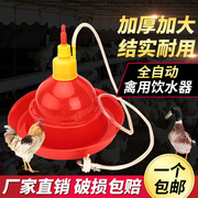 养殖养鸡设备用品普拉松自动饮水器鸡鸭鹅用喂水器，鸡场喂鸡饮水壶