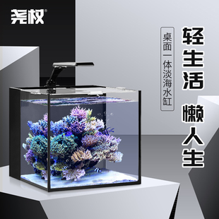 尧权背滤缸迷你生态水草造景，小型鱼缸玻璃超白淡海水族箱桌面客厅