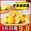 2斤送1斤四川安岳黄柠檬(黄柠檬)新鲜水果一级皮薄香水柠檬奶茶店9斤