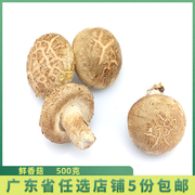 新鲜1斤菌菇 带梗鲜香菇 土特产 鲜蘑菇 火锅涮菜配菜 湿香菇