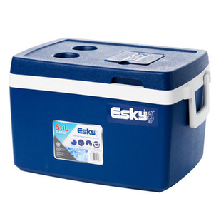 Esky保温箱10L27L50L保温箱母乳食材冷藏保鲜箱车载保温箱送袋6只