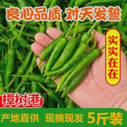 樟树港小辣椒5斤富硒新鲜白辣椒现摘虎皮自制卜辣椒农家湘菜手工3