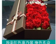 广州天河区天平架花城，汇高德置地小新塘鲜花店蛋糕店配送玫瑰花束
