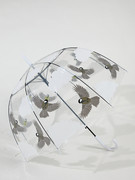 沛欣雨伞女印花泡泡伞拱形伞，芭蕉叶豹纹鸟，自动长柄伞透明伞