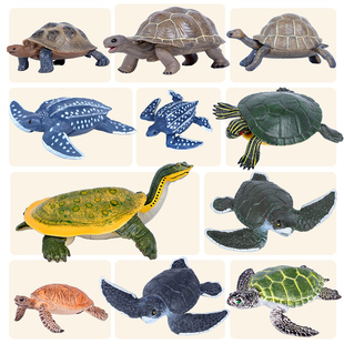 仿真海洋动物乌龟模型巴西龟客厅玩具象龟棱皮龟海龟儿童科教礼物