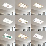 300x600平板灯集成吊顶led灯，30x60厨房卫生间吸顶灯铝扣板嵌入式