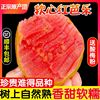 红心芭乐番石榴水果软心软糯当季时令新鲜水果 1/2/3/5斤