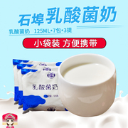 石埠原味乳酸菌奶125mlx7包x3提学生牛奶饮料，乳酸菌饮品早餐奶