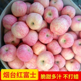 苹果水果新鲜山东烟台苹果栖霞红富士脆甜孕妇不打蜡5斤10斤
