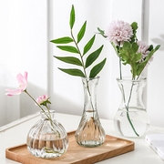 水培植物小花瓶办公桌花瓶水培窄口花瓶小玻璃瓶客厅鲜花网红小众