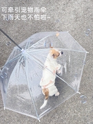 泰迪小狗带宠物加大加固链子c型遛狗神器透明雨伞宠物用品遛狗伞