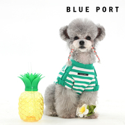 BluePort春夏装宠物服装纯棉条纹海魂衫短袖T恤中小型犬猫通用狗