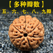 鼎枫天然姜黄皮大金刚菩提子手串5五瓣6六瓣7七瓣8八瓣9九瓣满肉