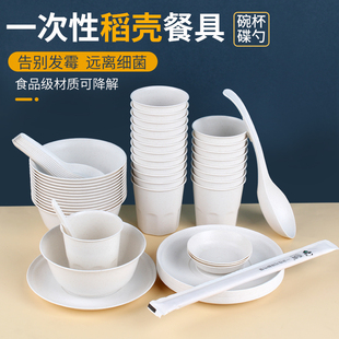 稻壳一次性碗筷家用筷子饭碗盘杯套装食品餐具商用加厚野餐四件套
