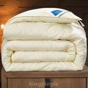 棉被通冬季蚕丝被被加厚米103四季冬儿童双人米芯被x2斤被子保暖2