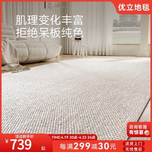 新西兰进口羊毛地毯客厅现代简约沙发毯卧室百搭纯色轻奢2024