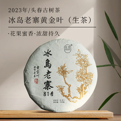 私房茶2023年冰岛老寨头春普洱茶生茶饼茶冰岛古树纯料黄金叶200g