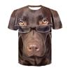 抖音眼镜狗短袖t恤男3D立体印花图案搞怪猩猩个性大码衣服体恤潮